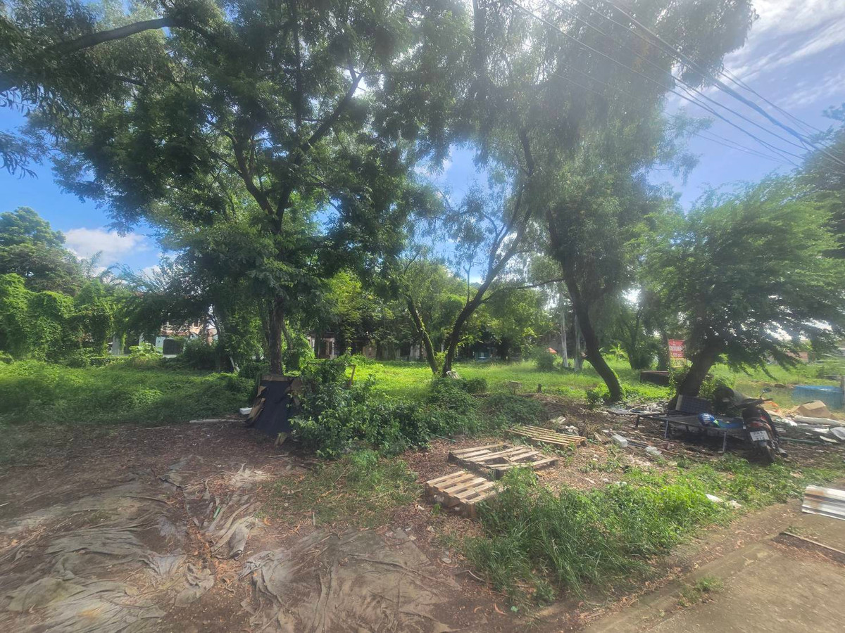 ขายที่ดินแจ้งวัฒนะ เมืองทอง : ขายที่ดินเปล่า ปากเกร็ด นนทบุรี ราคาดีต่อรองได้ใกล้แหล่งชุมชน เนื้อที่ 1-1-3.3 ไร่ ใกล้ทางด่วนศรีรัช – แจ้งวัฒนะ