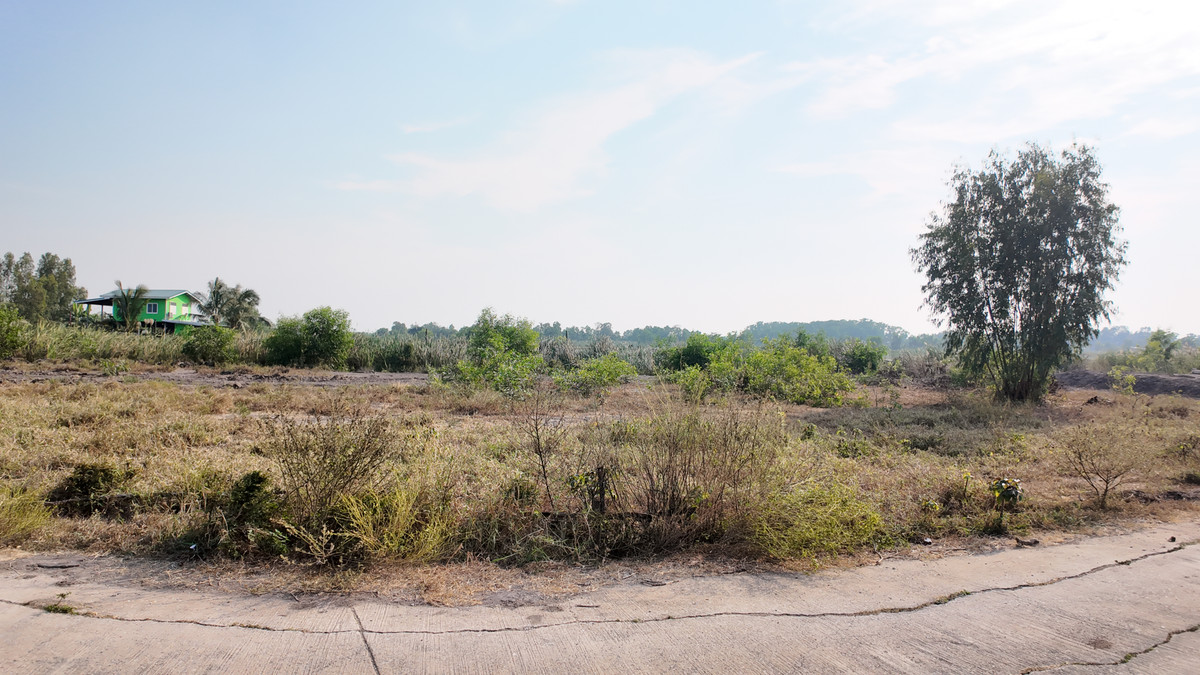 ขายที่ดินอยุธยา : ที่ดิน  อ.ลาดบัวหลวง จ.อยุธยา ขนาด 700 ตร.วา ( หัวมุมถนน พื้นที่ยาวสวย ทำเลเด่น (หน้ากว้าง 70 เมตร)