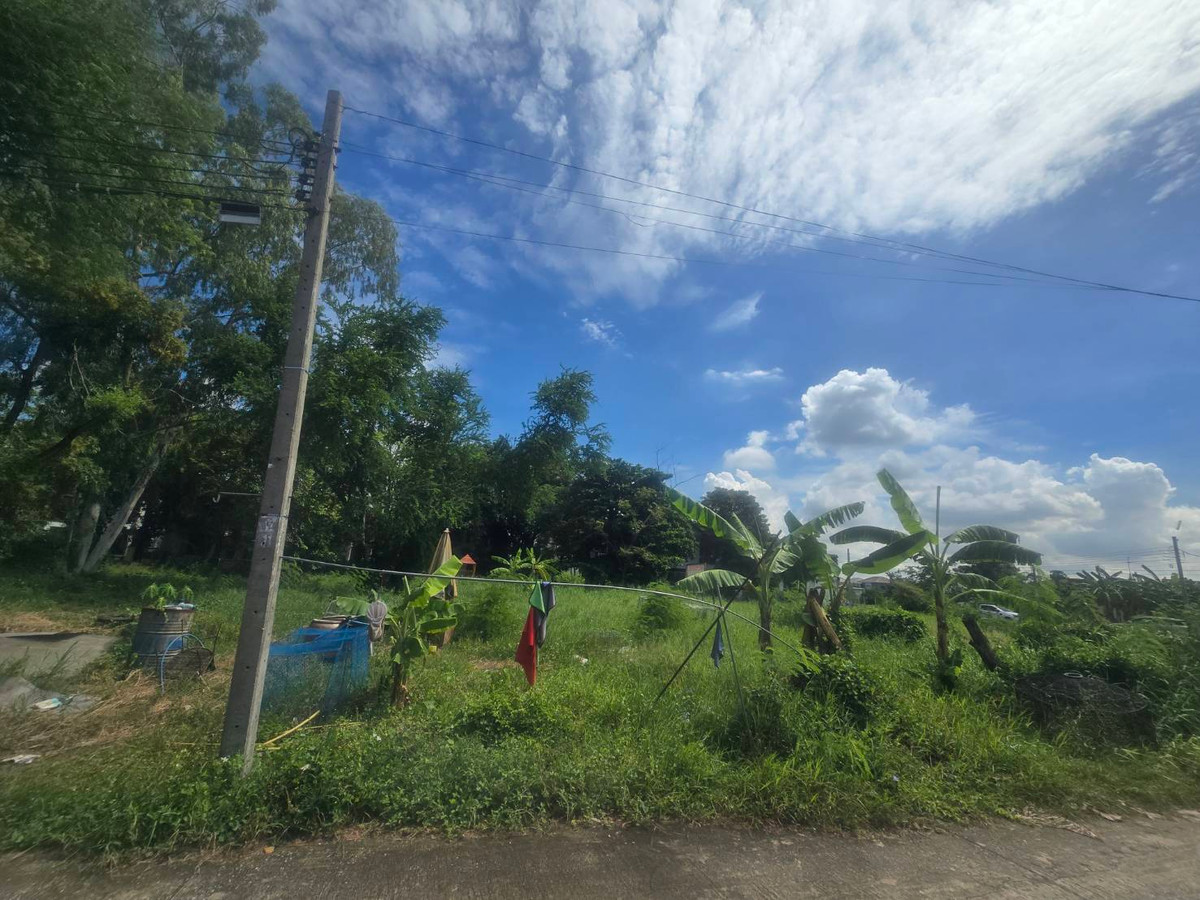 For SaleLandChaengwatana, Muangthong : Empty land for sale, Pak Kret, Nonthaburi, good price, negotiable, near community area, area 1-1-3.3 rai, near Si Rat - Chaengwattana Expressway.