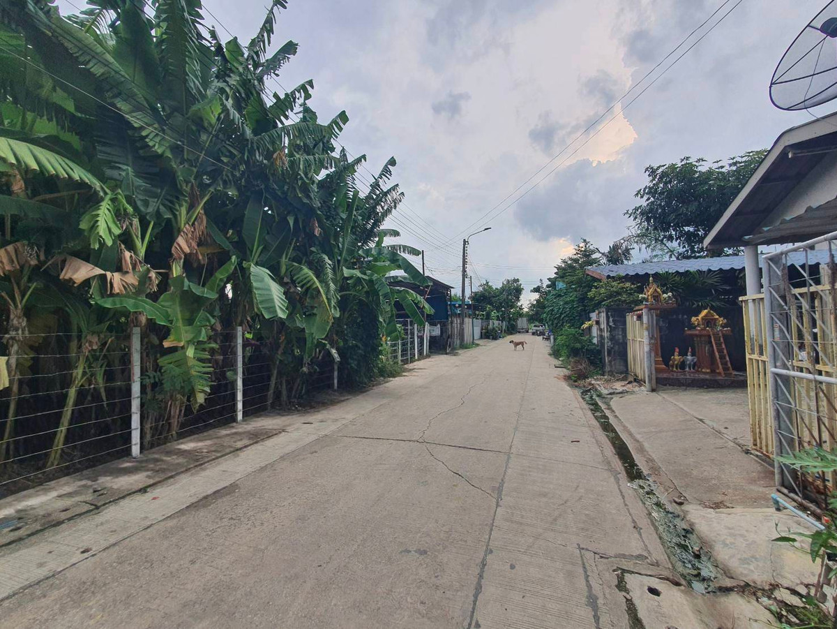 ขายที่ดินบางแค เพชรเกษม : ขายที่ดินเปล่า หมู่บ้านเศรษฐกิจ ใกล้เดอะมอลล์บางแค ( เพชรเกษม )