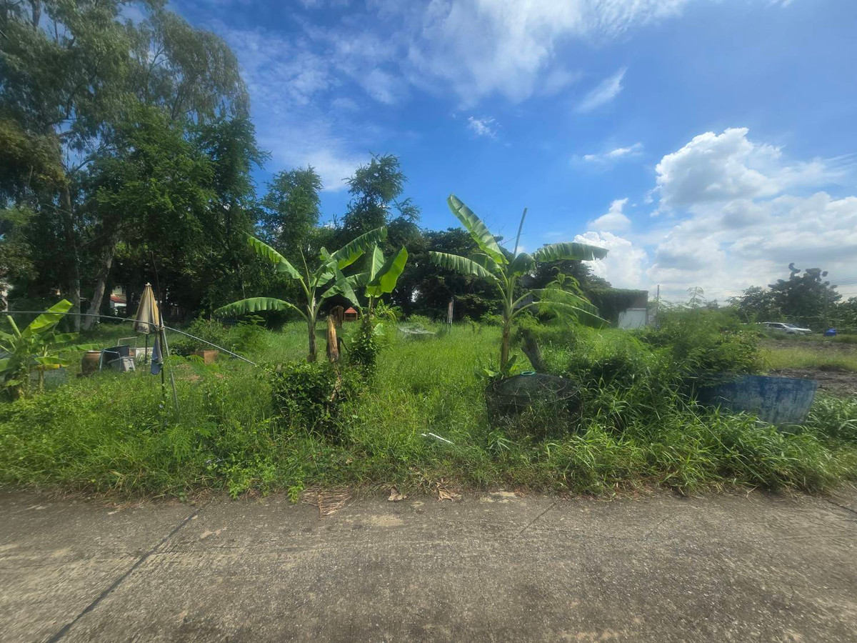 For SaleLandChaengwatana, Muangthong : Empty land for sale, Pak Kret, Nonthaburi, good price, negotiable, near community area, area 1-1-3.3 rai, near Si Rat - Chaengwattana Expressway.
