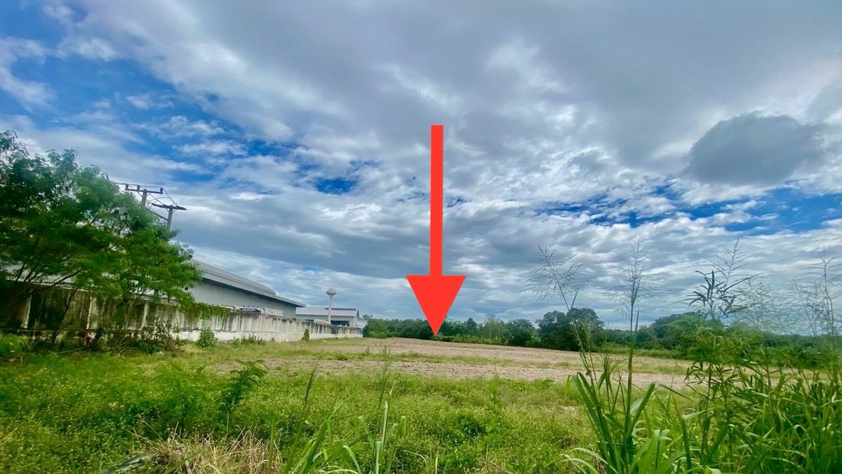 ขายที่ดินสาทร นราธิวาส : ขายถูก ที่ดินถมแล้ว ตั้งอยู่อ่างเก็บน้ำบางพระ ใกล้มอเตอร์เวย์กรุงเทพ-พัทยา เดินทางสะดวกเข้า-ออกได้หลากหลายทาง ใกล้นิคมอุตสาหกรรมและท่าเรือน้ำลึกแหลมฉบัง สถานที่ท่องเที่ยวมากมาย