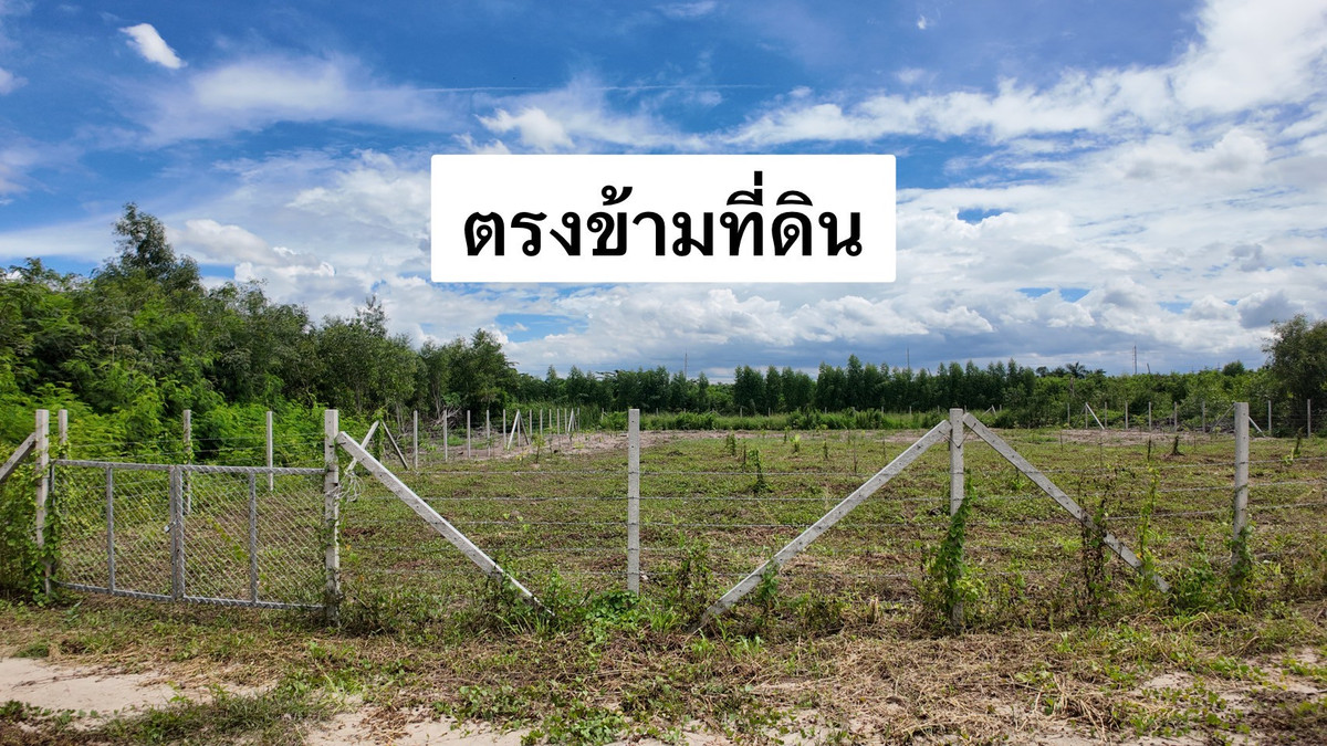 ขายที่ดินนครปฐม : ขายที่ดิน 2 ไร่ 2 ตารางวา   ต.บัวปากท่า อ.บางเลน จ.นครปฐม 