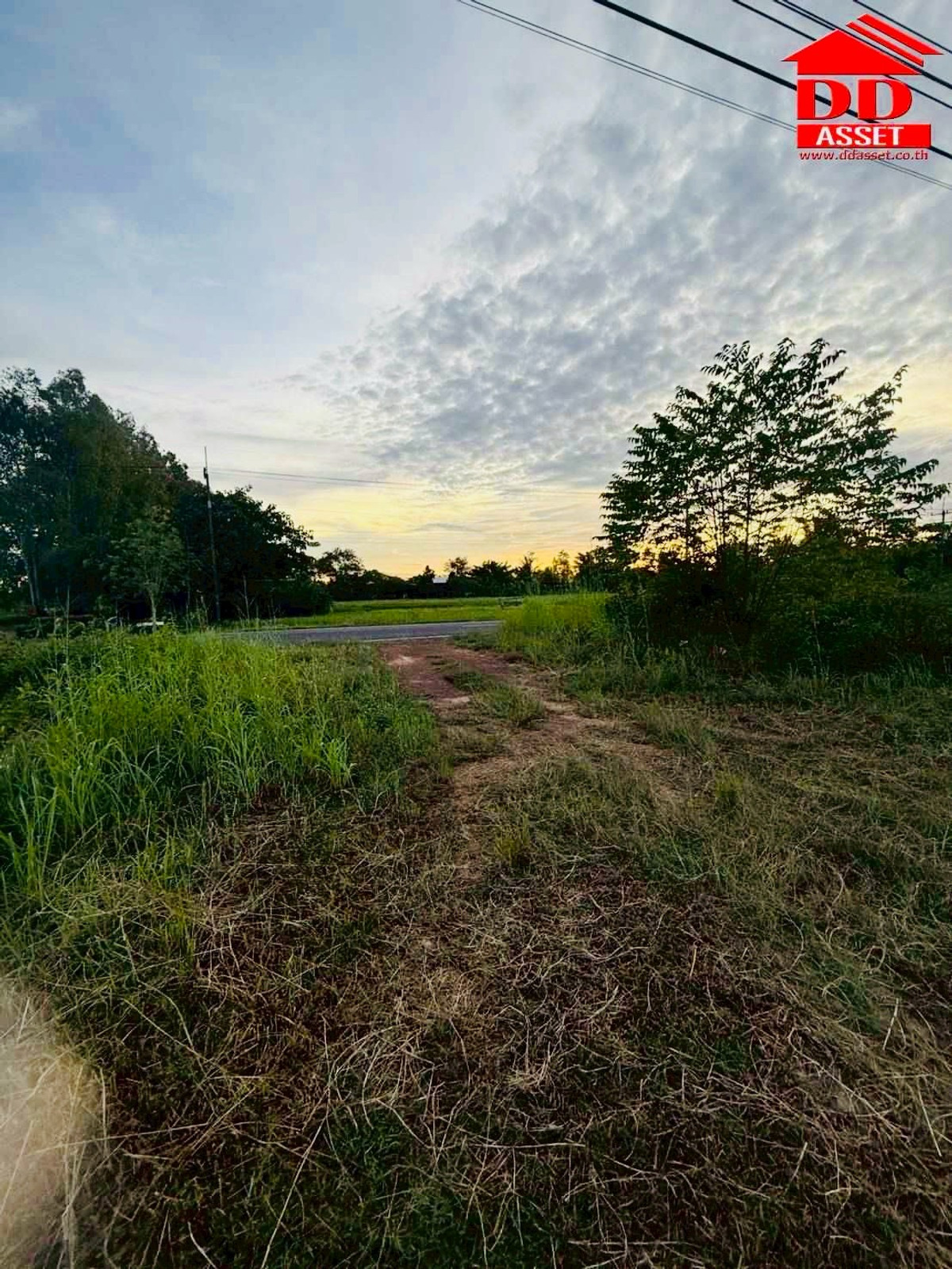 For SaleLandAmnat Charoen : Land for sale, Phana District, Amnat Charoen Province, near Phana Hospital, Code: L8049