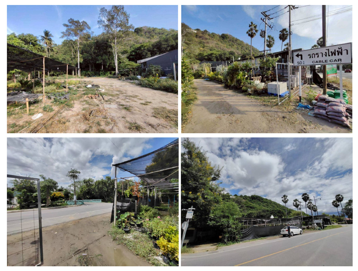 ขายที่ดินชะอำ เพชรบุรี : ขายที่ดิน 3 ไร่ 1 งาน 86 ตารางวาติดทางขึ้น รถเช้าเขาวัง จ. เพชรบุรี เพียง 50 เมตร ราคา 19.8 ล้านบาท