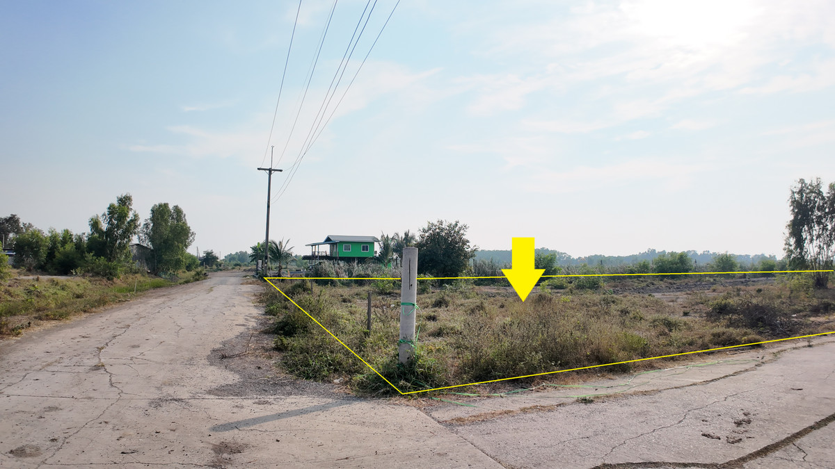 ขายที่ดินอยุธยา : ที่ดิน  อ.ลาดบัวหลวง จ.อยุธยา ขนาด 700 ตร.วา ( หัวมุมถนน พื้นที่ยาวสวย ทำเลเด่น (หน้ากว้าง 70 เมตร)