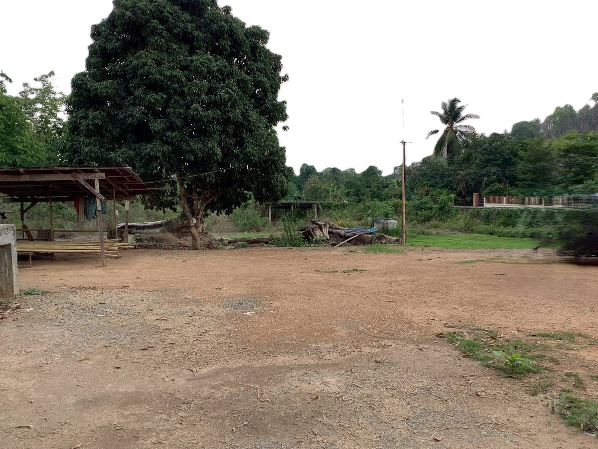 ขายที่ดินอุตรดิตถ์ : ขายที่ดินบนเนิน แปลงสวย 17 ไร่ 253 ตารางวา พร้อมต้นสักอายุ 20 ปี ปลูกเต็มพื้นที่ 12 ไร่ ต.น้ำหมัน อ.ท่าปลา จ.อุตรดิตถ์