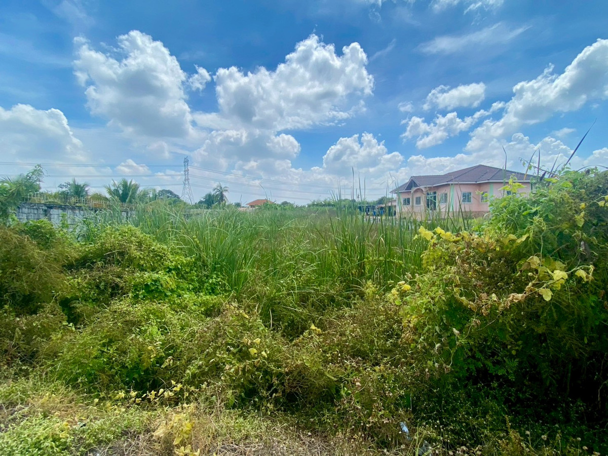 ขายที่ดินพุทธมณฑล ศาลายา : ขายที่ดินสวย เหมาะสำหรับ สร้างเพื่ออยู่อาศัย หรือเพื่อการลงทุนในอนาคต ด้านติดถนน ด้านหลังติดคลองตาชม