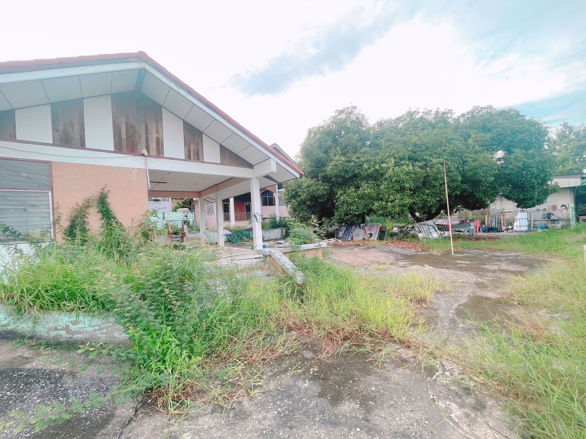 ขายที่ดินมหาสารคาม : ที่ดินพร้อมสิ่งปลูกสร้าง 3 งาน 79 ตารางวา กลางเมืองมหาสารคาม ใกล้สถานศึกษา และสถานที่ราชการ