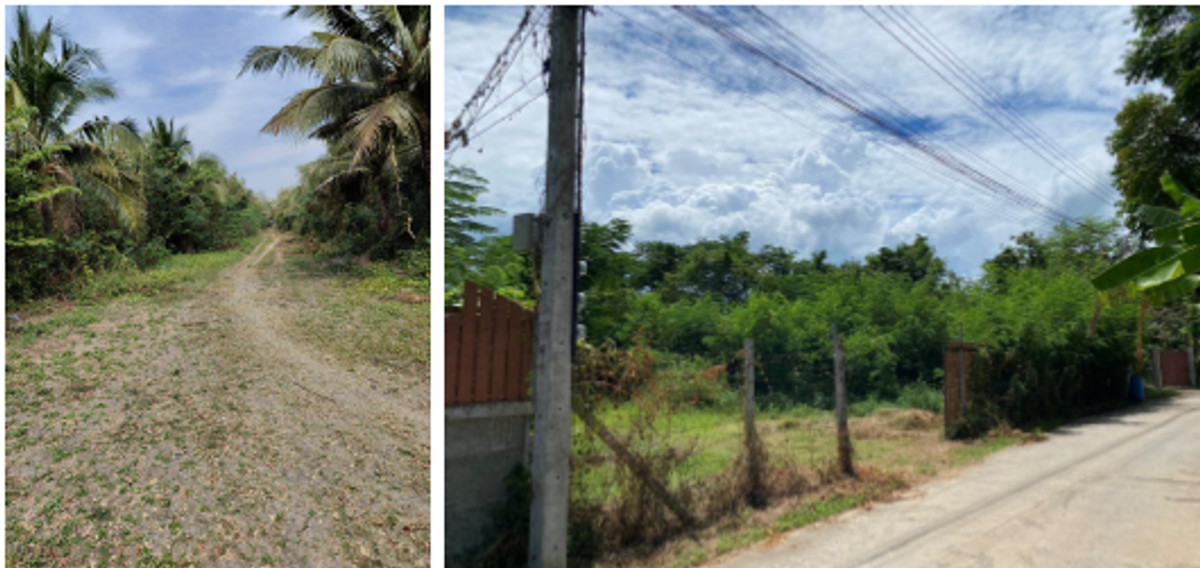 ขายที่ดินชะอำ เพชรบุรี : ที่ดิน 15 ไร่ 2 งาน 39 ตร.วา  ใกล้ Makro จ. เพชรบุรี   🔥 ห่างจากถนนใหญ่ 900 เมตร ห่างจากถนนย่อย 180 เมตร