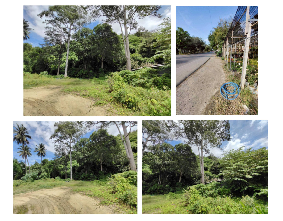 ขายที่ดินชะอำ เพชรบุรี : ขายที่ดิน 3 ไร่ 1 งาน 86 ตารางวาติดทางขึ้น รถเช้าเขาวัง จ. เพชรบุรี เพียง 50 เมตร ราคา 19.8 ล้านบาท