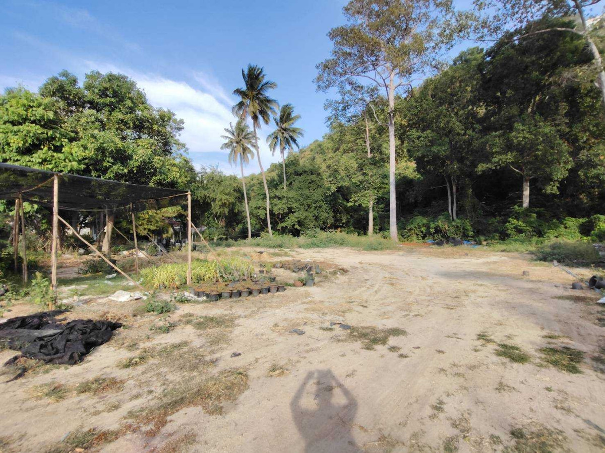 ขายที่ดินชะอำ เพชรบุรี : ขายที่ดิน 3 ไร่ 1 งาน 86 ตารางวาติดทางขึ้น รถเช้าเขาวัง จ. เพชรบุรี เพียง 50 เมตร ราคา 19.8 ล้านบาท