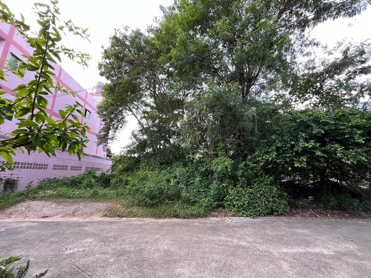 For SaleLandThaphra, Talat Phlu, Wutthakat : Land for sale/rent, already filled, Soi Bang Khae 3