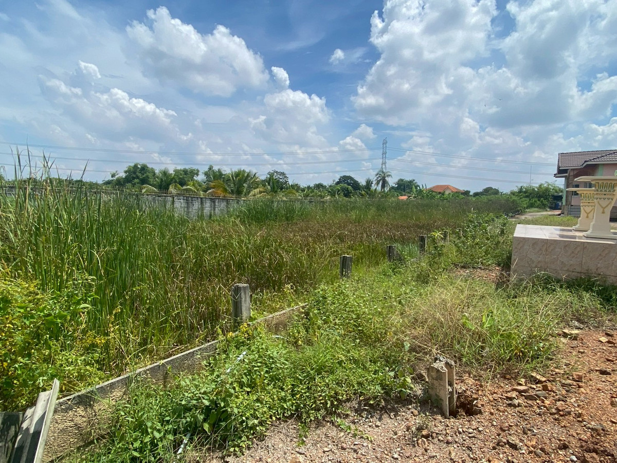 ขายที่ดินพุทธมณฑล ศาลายา : ขายที่ดินสวย เหมาะสำหรับ สร้างเพื่ออยู่อาศัย หรือเพื่อการลงทุนในอนาคต ด้านติดถนน ด้านหลังติดคลองตาชม