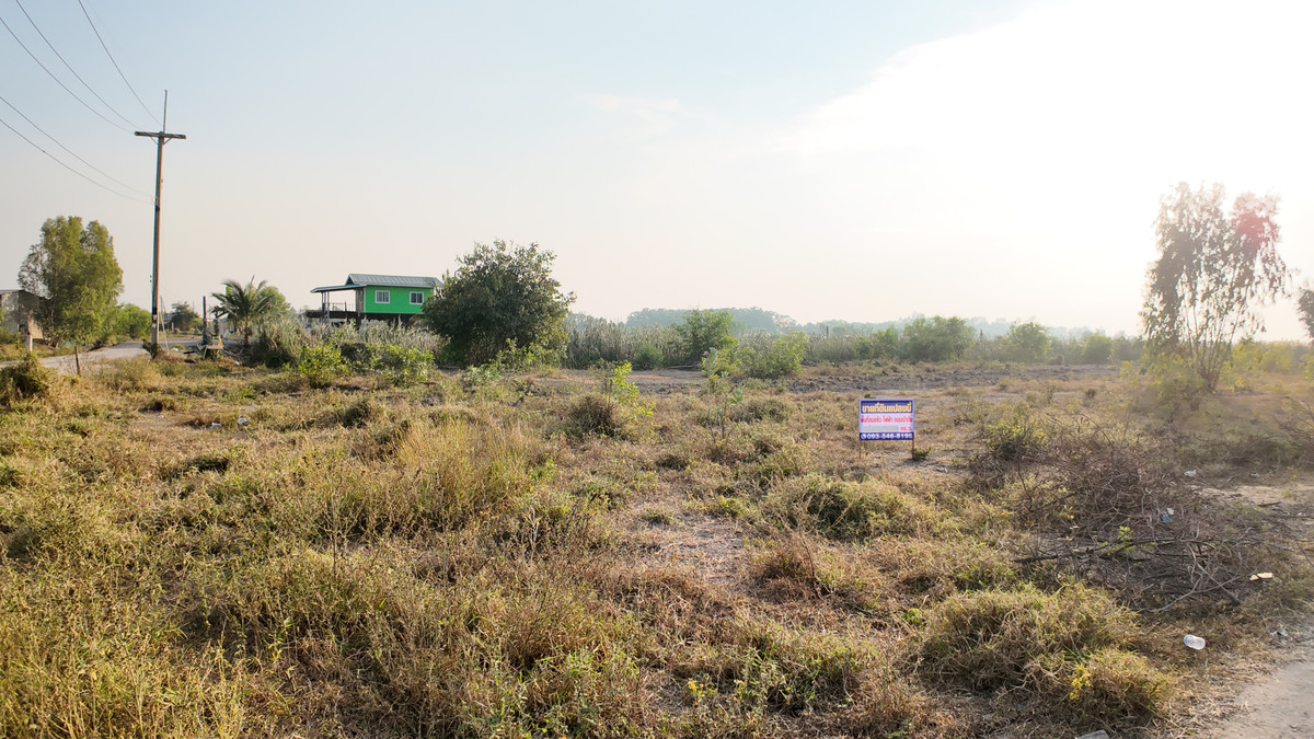ขายที่ดินอยุธยา : ที่ดิน  อ.ลาดบัวหลวง จ.อยุธยา ขนาด 700 ตร.วา ( หัวมุมถนน พื้นที่ยาวสวย ทำเลเด่น (หน้ากว้าง 70 เมตร)