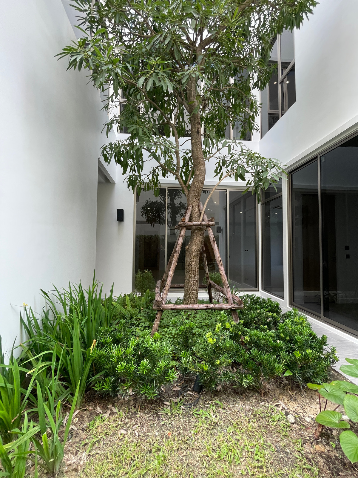 ขายบ้านเกษตร นวมินทร์ ลาดปลาเค้า : ขายบ้านหรู Providence Lane Kaset–Nawamin (โพรวิเดนซ์ เลน เกษตร–นวมินทร์)  บ้านเดี่ยว 3 ชั้น พร้อมลิฟต์และสระว่ายน้ำส่วนตัว บนทำเลศักยภาพใจกลางเกษตร–นวมินทร์ เดินทางสะดวก ใกล้ทางด่วนและรถไฟฟ้าถึง 2 สาย