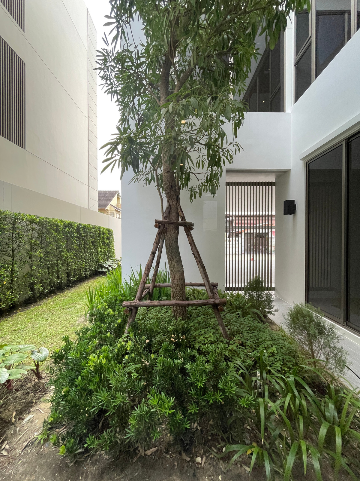 ขายบ้านเกษตร นวมินทร์ ลาดปลาเค้า : ขายบ้านหรู Providence Lane Kaset–Nawamin (โพรวิเดนซ์ เลน เกษตร–นวมินทร์)  บ้านเดี่ยว 3 ชั้น พร้อมลิฟต์และสระว่ายน้ำส่วนตัว บนทำเลศักยภาพใจกลางเกษตร–นวมินทร์ เดินทางสะดวก ใกล้ทางด่วนและรถไฟฟ้าถึง 2 สาย