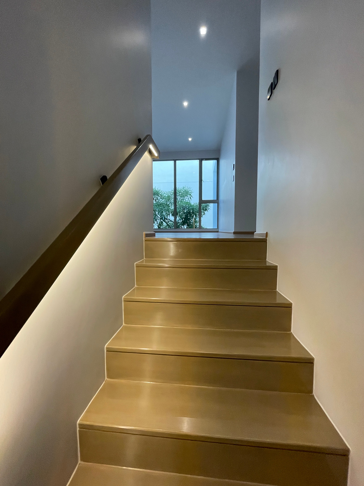 ขายบ้านเกษตร นวมินทร์ ลาดปลาเค้า : ขายบ้านหรู Providence Lane Kaset–Nawamin (โพรวิเดนซ์ เลน เกษตร–นวมินทร์)  บ้านเดี่ยว 3 ชั้น พร้อมลิฟต์และสระว่ายน้ำส่วนตัว บนทำเลศักยภาพใจกลางเกษตร–นวมินทร์ เดินทางสะดวก ใกล้ทางด่วนและรถไฟฟ้าถึง 2 สาย