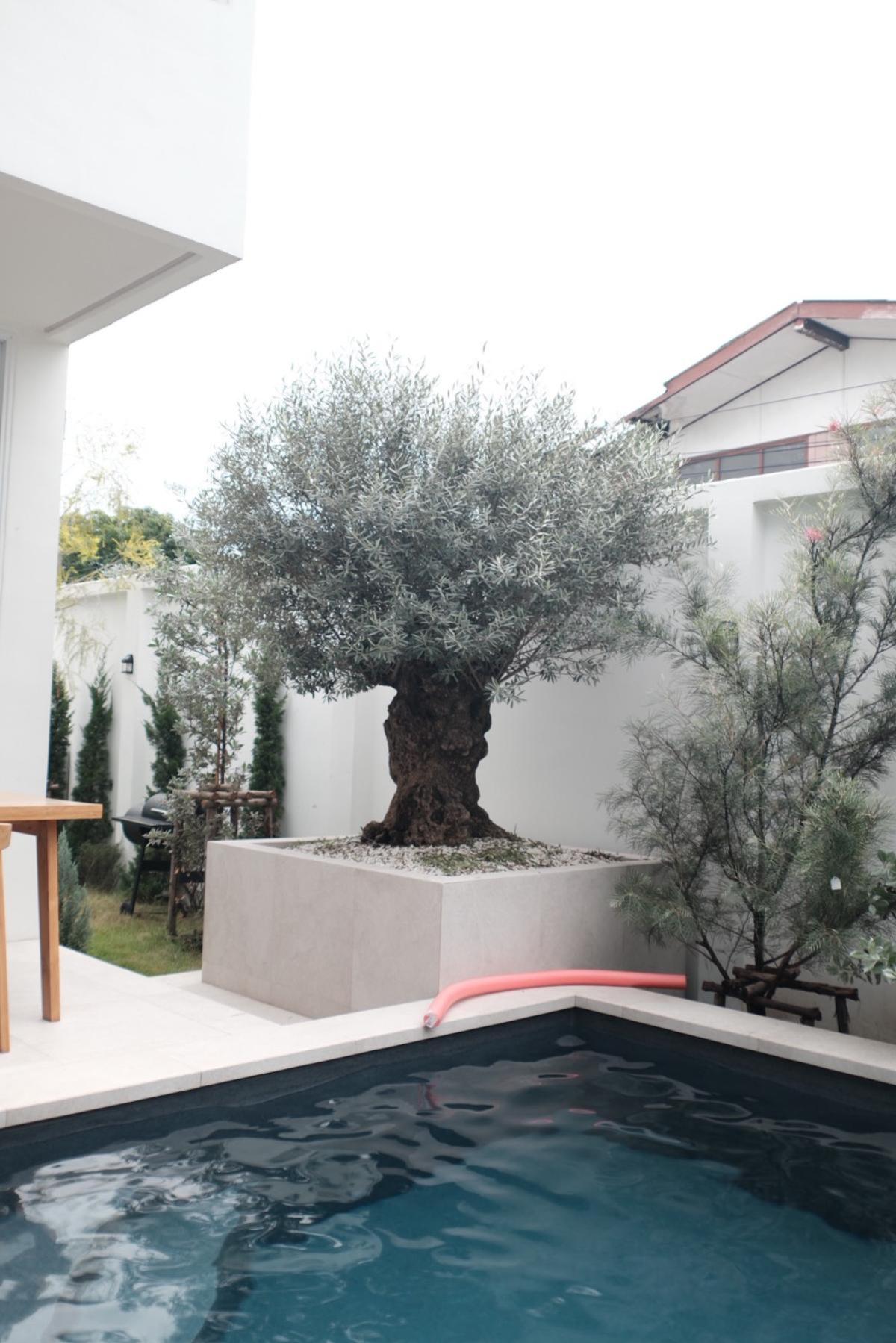 ขายบ้านโชคชัย4 ลาดพร้าว71 : ขายบ้านเดี่ยว ซอยลาดพร้าว 64 วังทองหลาง เขต วังทองหลาง กรุงเทพ CX-136868