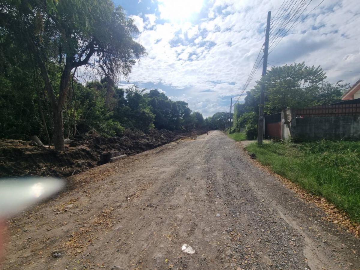 ขายที่ดินลาดกระบัง สุวรรณภูมิ : ขายที่ดินพัฒนาการ ประเวศ เขต ประเวศ กรุงเทพ CX-136357