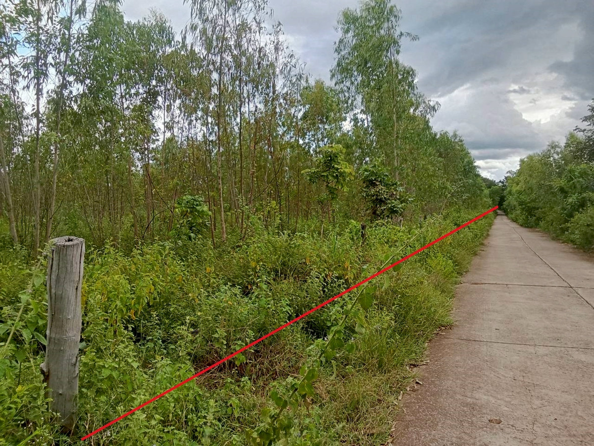 ขายที่ดินอุดรธานี : ขายที่ดินเปล่าเปล่า  75 ไร่     ใกล้ตัว อ.ประจักษ์ศิลปาคม จ.อุดรธานี