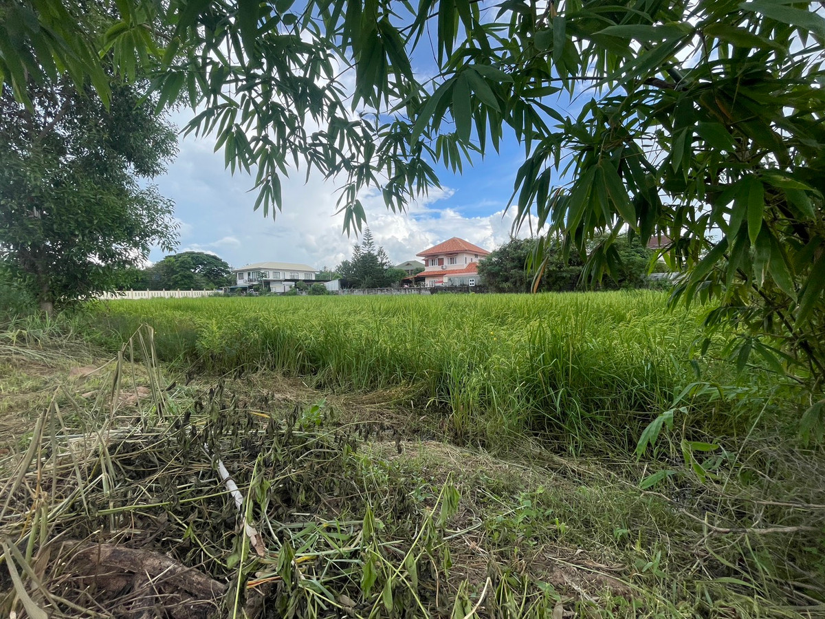 ขายที่ดินมหาสารคาม : ขายที่ดินเปล่า 2 ไร่ 2 งาน 2 ตารางวา ถนนโยธาธิการและผังเมือง เขตเทศบาลเมืองมหาสารคาม