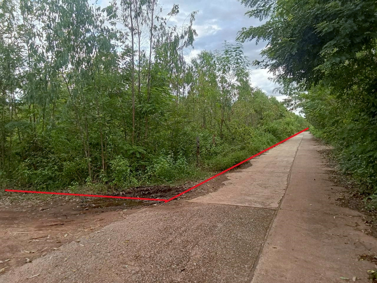 ขายที่ดินอุดรธานี : ขายที่ดินเปล่าเปล่า  75 ไร่     ใกล้ตัว อ.ประจักษ์ศิลปาคม จ.อุดรธานี