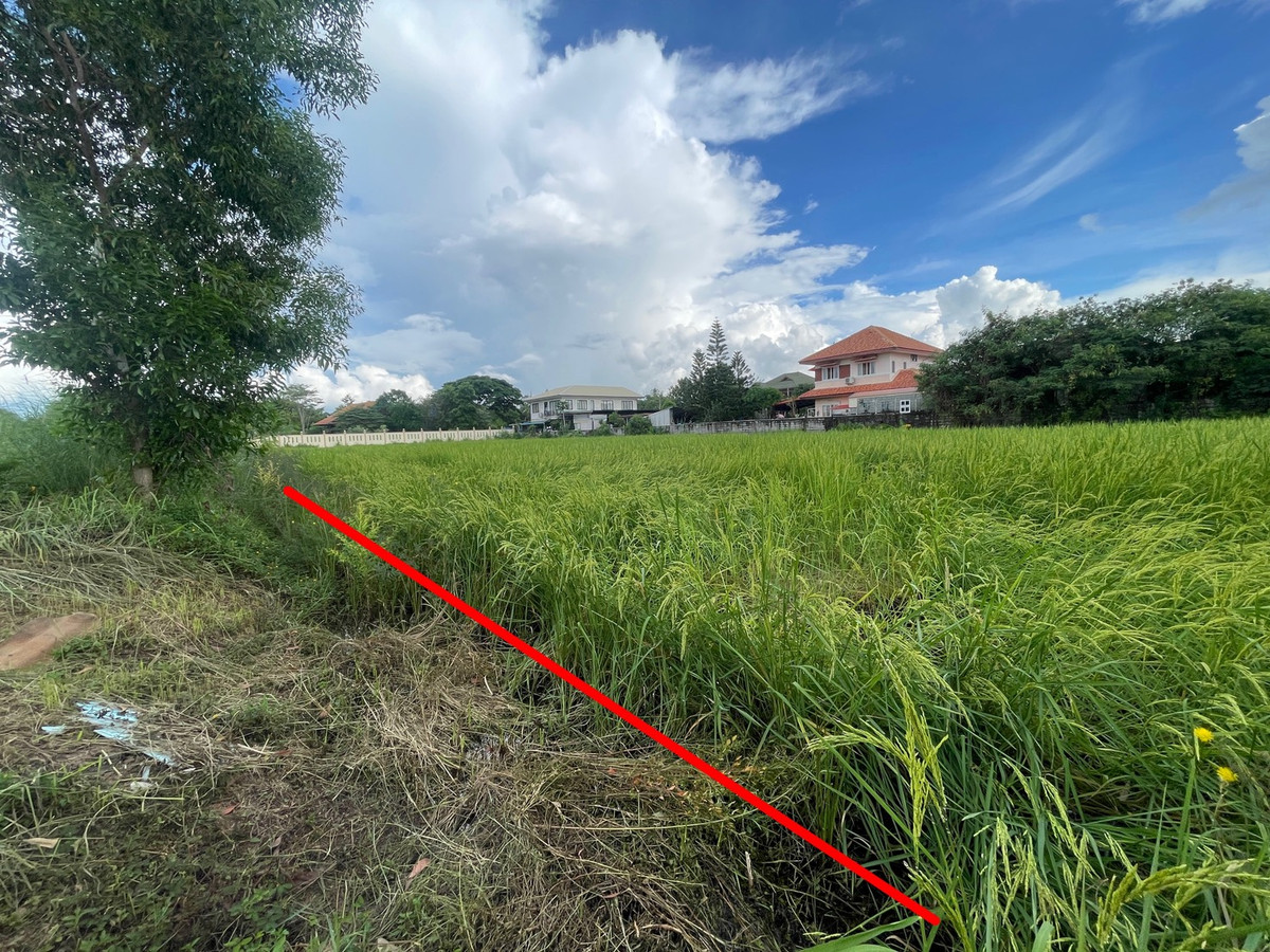 ขายที่ดินมหาสารคาม : ขายที่ดินเปล่า 2 ไร่ 2 งาน 2 ตารางวา ถนนโยธาธิการและผังเมือง เขตเทศบาลเมืองมหาสารคาม