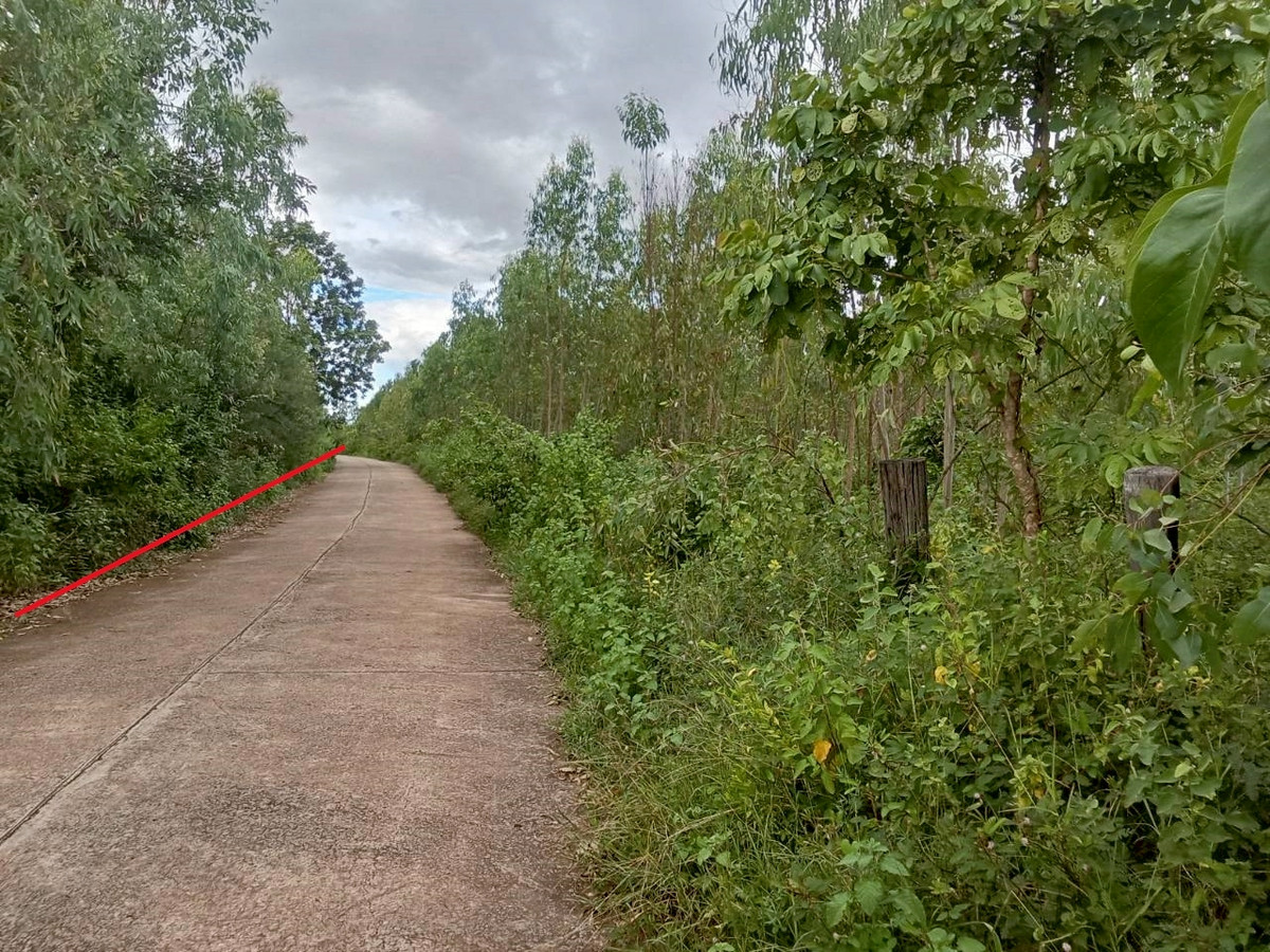 ขายที่ดินอุดรธานี : ขายที่ดินเปล่าเปล่า  75 ไร่     ใกล้ตัว อ.ประจักษ์ศิลปาคม จ.อุดรธานี