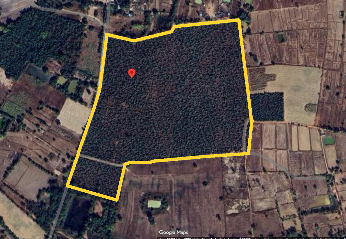 ขายที่ดินอุดรธานี : ขายที่ดินเปล่าเปล่า  75 ไร่     ใกล้ตัว อ.ประจักษ์ศิลปาคม จ.อุดรธานี