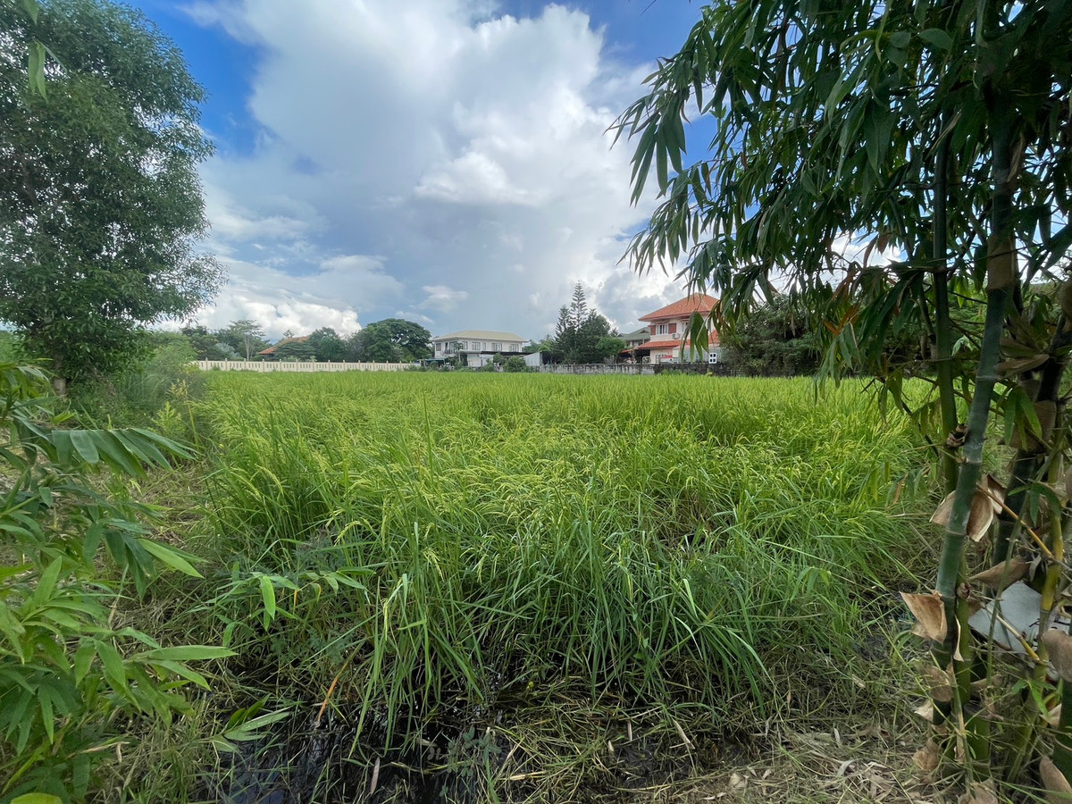 ขายที่ดินมหาสารคาม : ขายที่ดินเปล่า 2 ไร่ 2 งาน 2 ตารางวา ถนนโยธาธิการและผังเมือง เขตเทศบาลเมืองมหาสารคาม