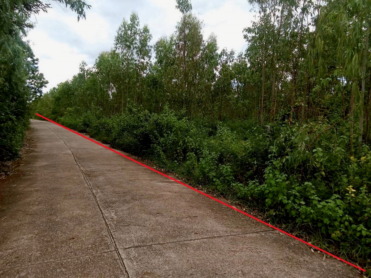 ขายที่ดินอุดรธานี : ขายที่ดินเปล่าเปล่า  75 ไร่     ใกล้ตัว อ.ประจักษ์ศิลปาคม จ.อุดรธานี