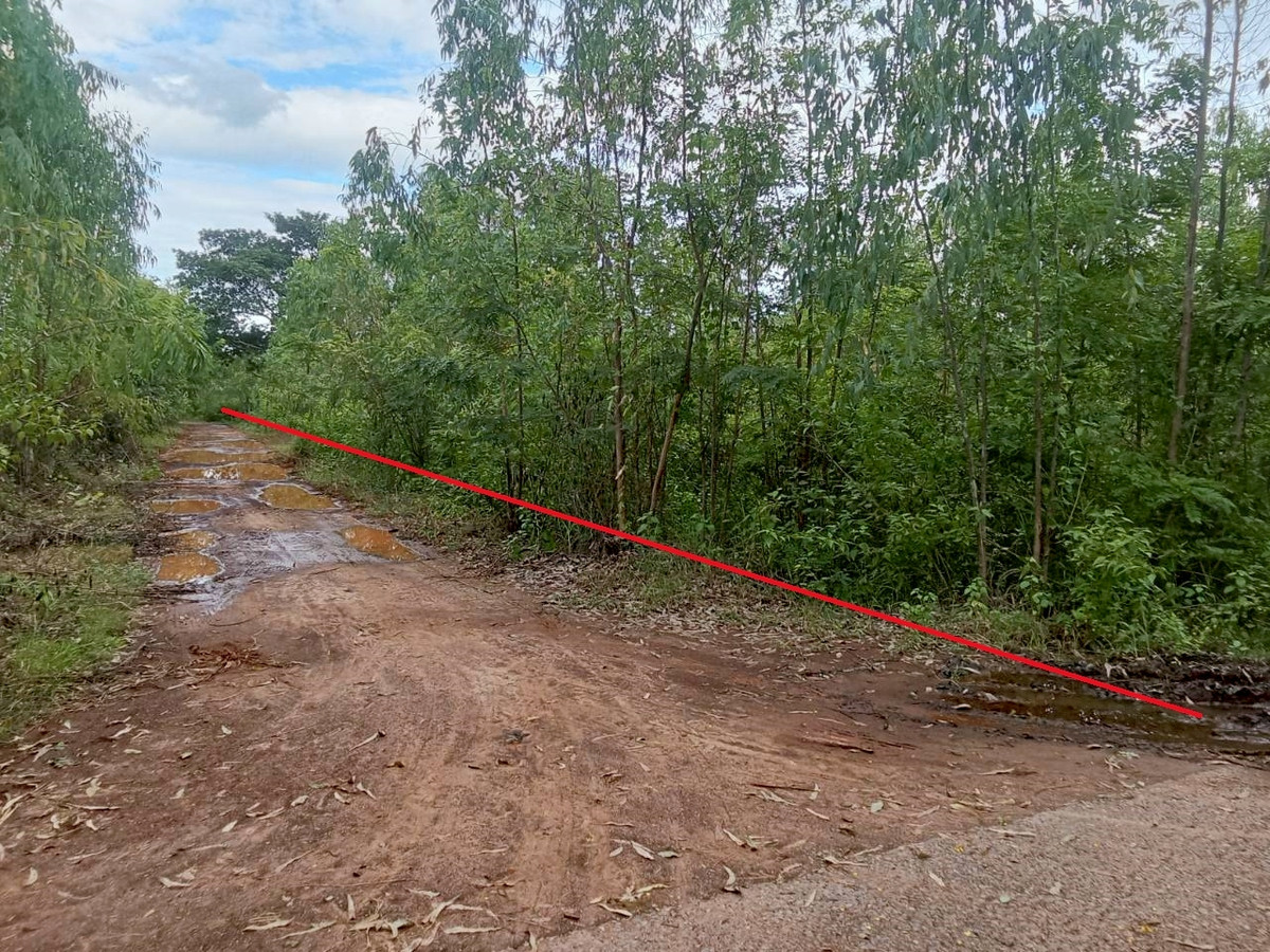 ขายที่ดินอุดรธานี : ขายที่ดินเปล่าเปล่า  75 ไร่     ใกล้ตัว อ.ประจักษ์ศิลปาคม จ.อุดรธานี