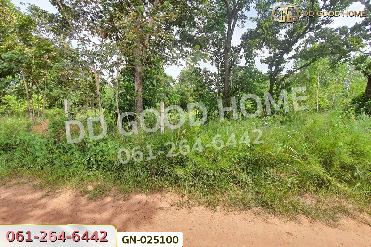 For SaleLandChaiyaphum : GN-025100 Land in Ban Lao, 5 rai, Chaiyaphum, near Chaiyaphum School for the Deaf