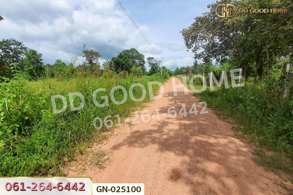 For SaleLandChaiyaphum : GN-025100 Land in Ban Lao, 5 rai, Chaiyaphum, near Chaiyaphum School for the Deaf