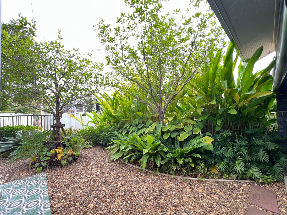 ขายบ้านสกลนคร : ขายบ้านเดี่ยว 2 หลังติด 117.5 ตร.ว. บ้านอารียาลิฟวิ่ง สกลนคร แต่งสวย ใกล้สนามบิน7 ล้าน