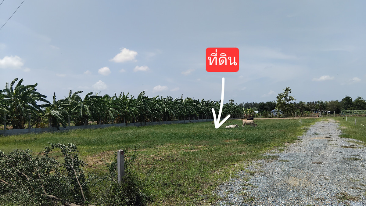 ขายที่ดินนครปฐม : ขายที่ดิน 1 งาน ตำบลสระกะเทียม ใกล้แม็คโคร นครปฐม