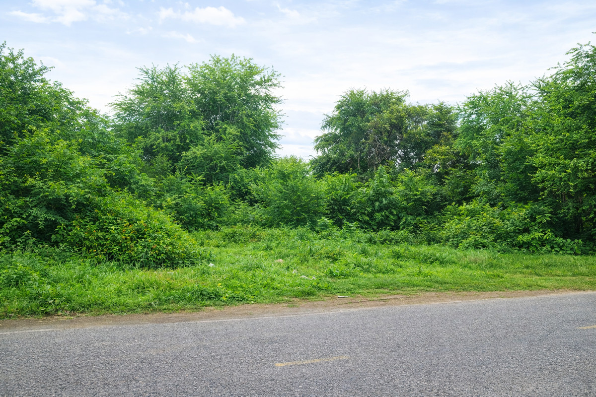 ขายที่ดินกาญจนบุรี : 🚨 ขายด่วน! ที่ดินกลางเมืองกาญจนบุรี ใกล้โรบินสัน แค่ 1 นาที 🚨ทำเลแบบนี้… ช้า = พลาดจริง!