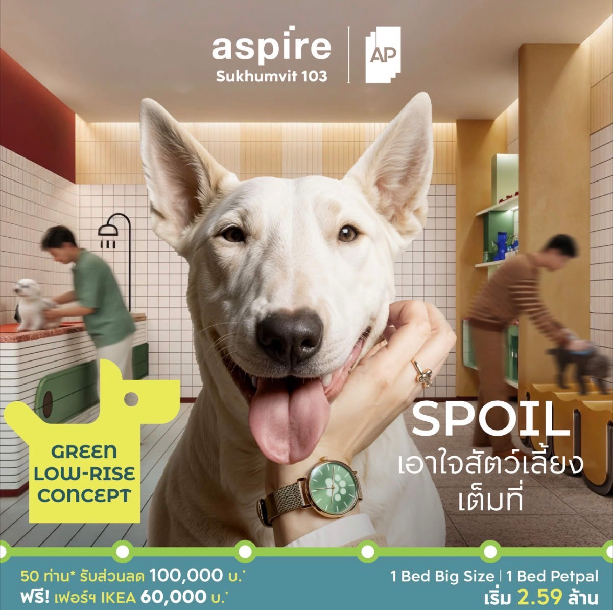 ขายคอนโดบางนา แบริ่ง ลาซาล : 𝐍𝐞𝐰 𝐏𝐫𝐨𝐣𝐞𝐜𝐭 𝐰𝐢𝐭𝐡 𝐏𝐞𝐭 𝐅𝐫𝐢𝐞𝐧𝐝𝐥𝐲 : 𝐀𝐬𝐩𝐢𝐫𝐞 𝐒𝐮𝐤𝐡𝐮𝐦𝐯𝐢𝐭 𝟏𝟎𝟑, 𝙁𝙪𝙡𝙡𝙮 𝙁𝙞𝙩𝙩𝙚𝙙 , 𝟏 𝘽𝙚𝙙 𝐏𝐥𝐮𝐬 𝐂𝐨𝐫𝐧𝐞𝐫 ,𝟑𝟖 𝐬𝐪.𝐦., 𝙋𝙧𝙞𝙘𝙚 𝟑.𝟑𝟓𝙈𝘽  ☎️ 𝟎𝟗𝟓𝟗𝟒𝟏𝟓𝟗𝟗𝟗