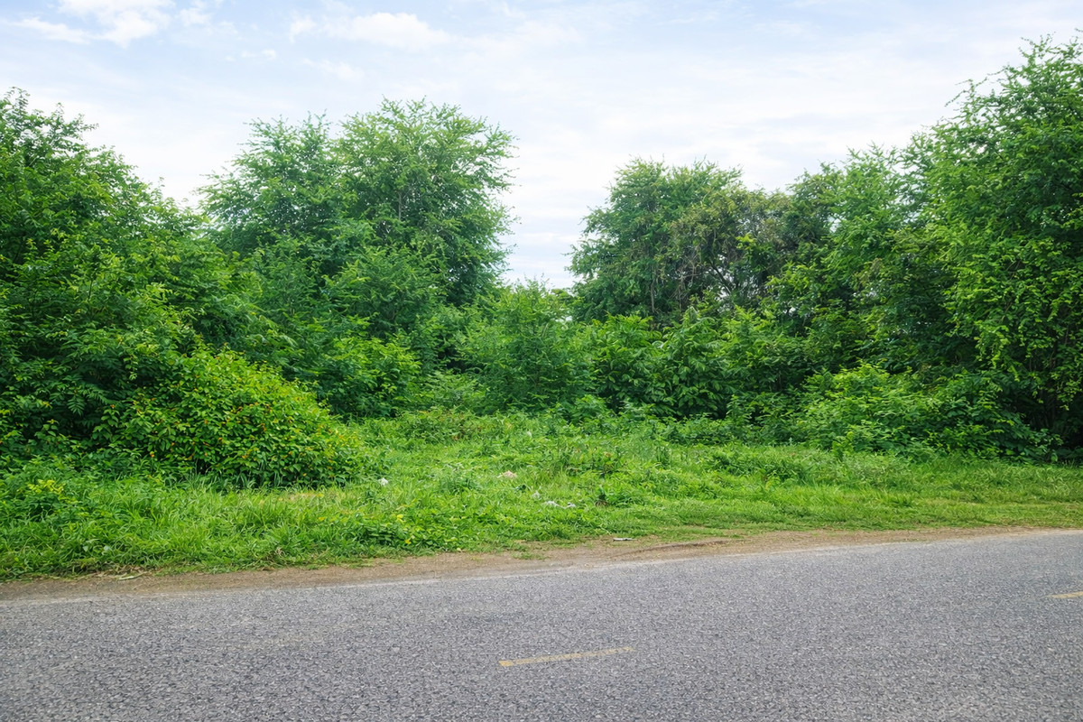 ขายที่ดินกาญจนบุรี : 🚨 ขายด่วน! ที่ดินกลางเมืองกาญจนบุรี ใกล้โรบินสัน แค่ 1 นาที 🚨ทำเลแบบนี้… ช้า = พลาดจริง!