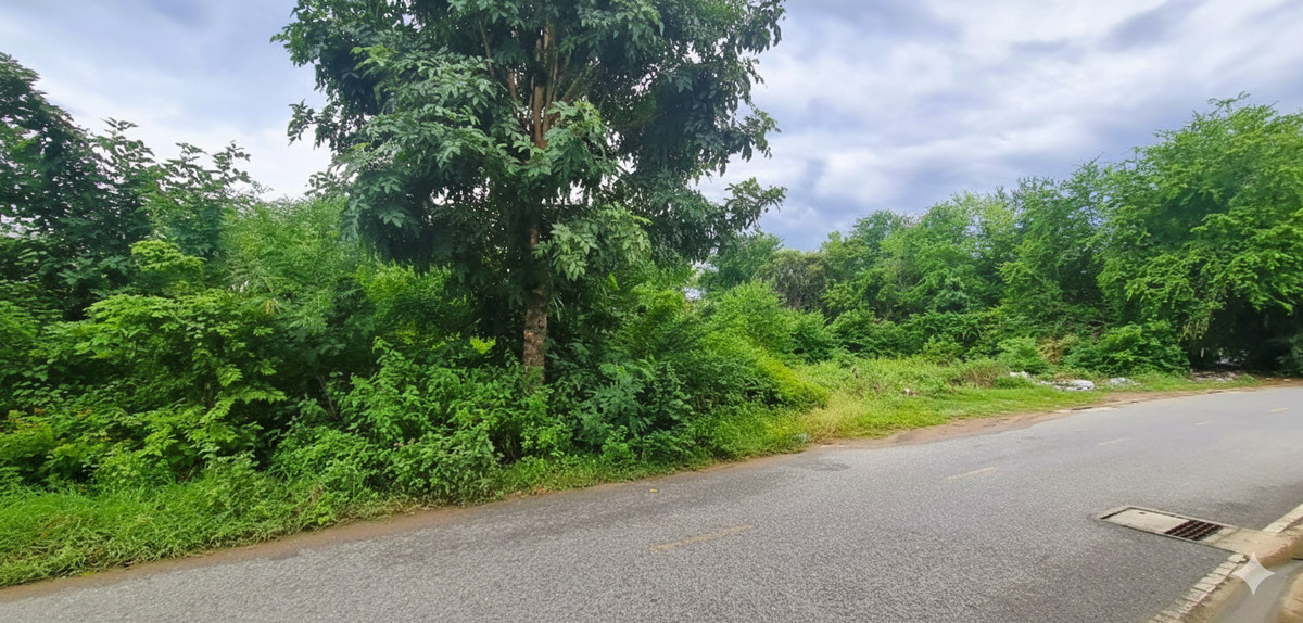 ขายที่ดินกาญจนบุรี : 🚨 ขายด่วน! ที่ดินกลางเมืองกาญจนบุรี ใกล้โรบินสัน แค่ 1 นาที 🚨ทำเลแบบนี้… ช้า = พลาดจริง!