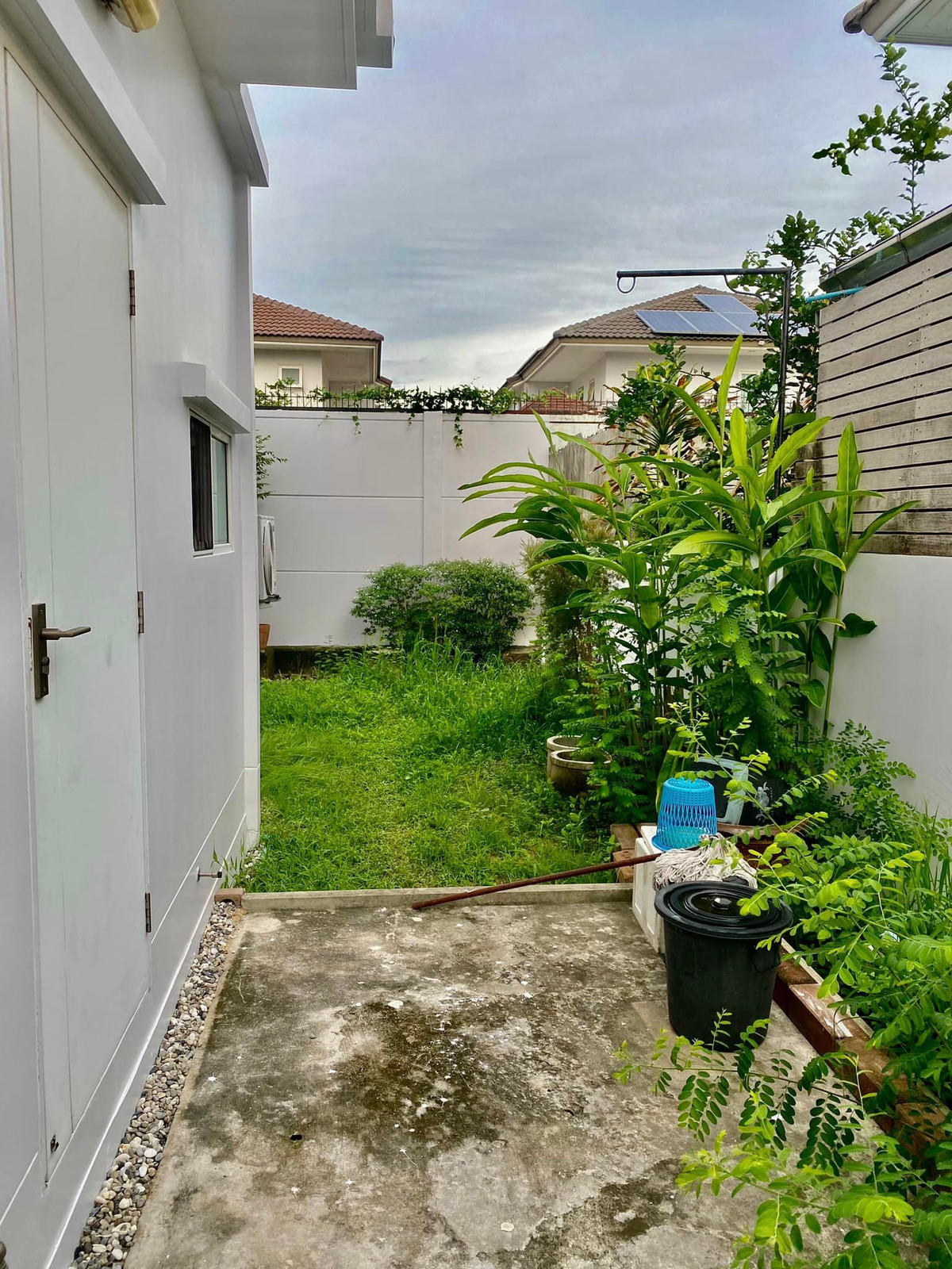 ขายบ้านนวมินทร์ รามอินทรา : 🏡 หมู่บ้านชัยพฤกษ์ รามอินทรา–วงแหวน 2 บ้านเดี่ยวทำเลดี อยู่สบาย บรรยากาศร่มรื่น พร้อมสิ่งอำนวยความสะดวกครบในโครงการ