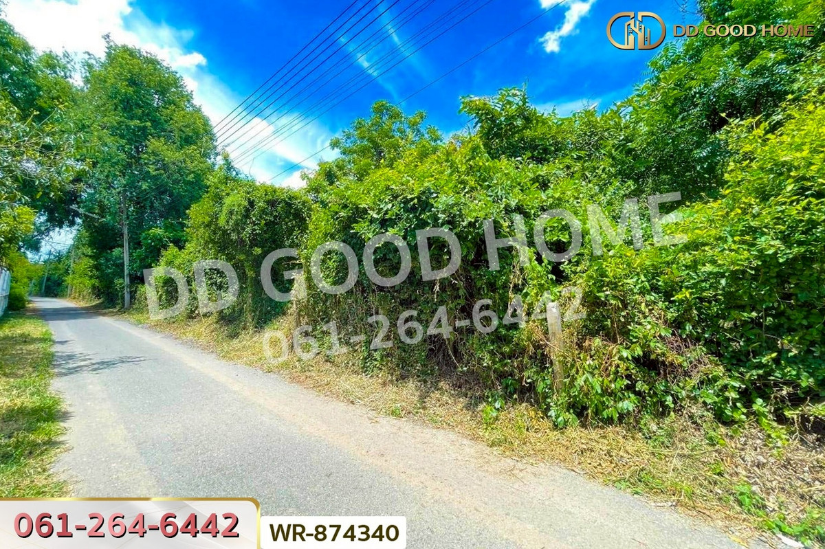 ขายที่ดินอยุธยา : WR-874340 ที่ดิน มหาราช 5 ไร่ อยุธยา ใกล้พุทธอุทยานมหาราช หลวงปู่ทวด