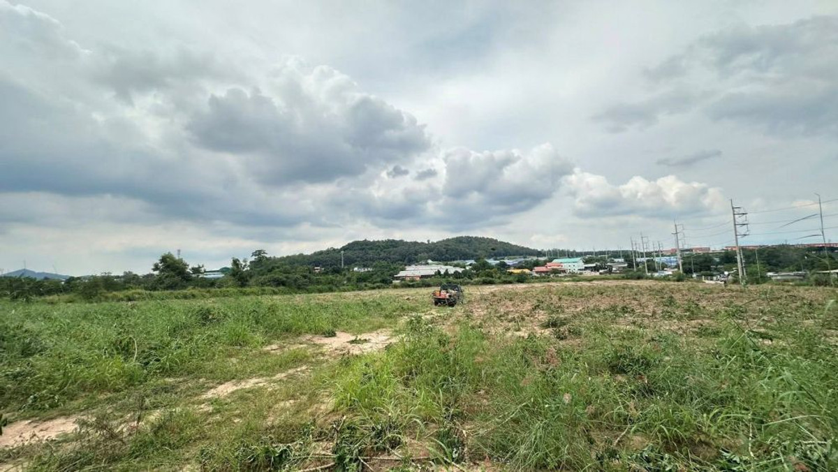 ขายที่ดินระยอง : ที่ดินศักยภาพสูง(ติดถนน) นิคมอมตะ ระยอง ทำเลทอง 12-1-35 ไร่