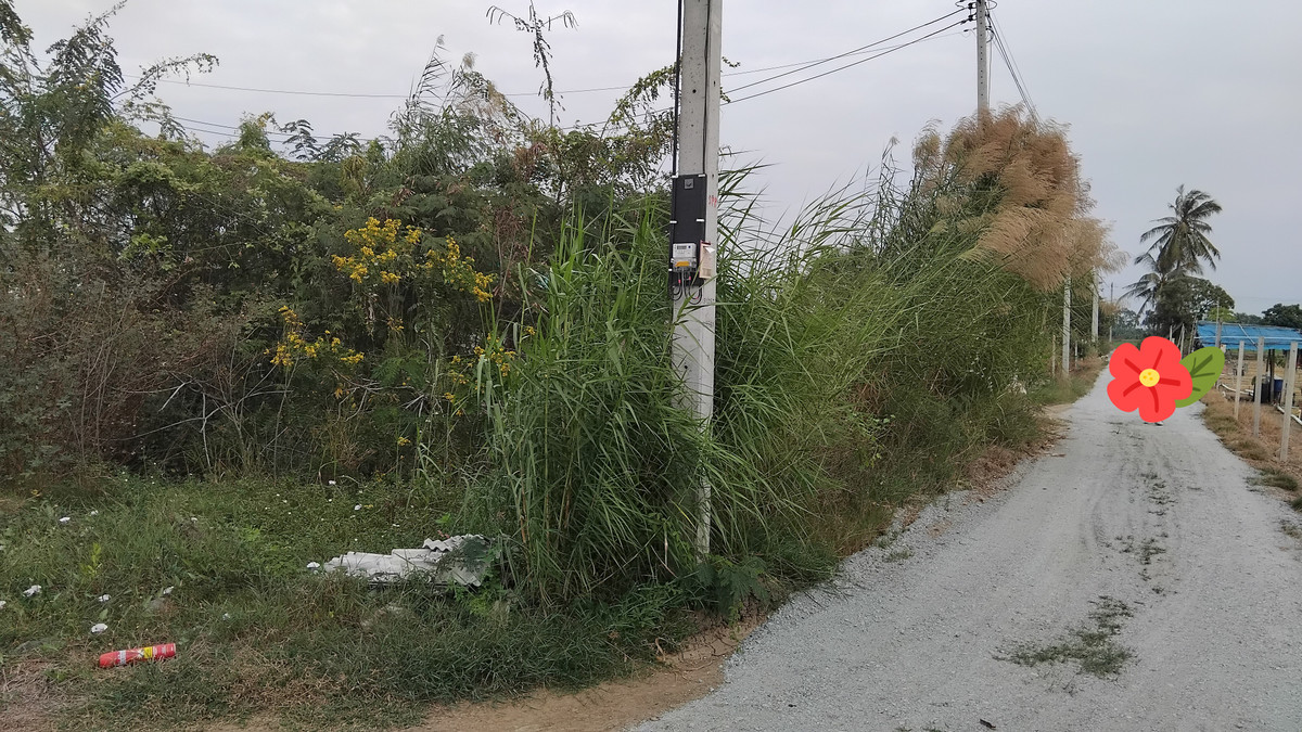 ขายที่ดินนครปฐม : ขายที่ดิน 60 ตารางวา ตำบลสามควายเผือก ใกล้วัดศีรษะทอง นครปฐม