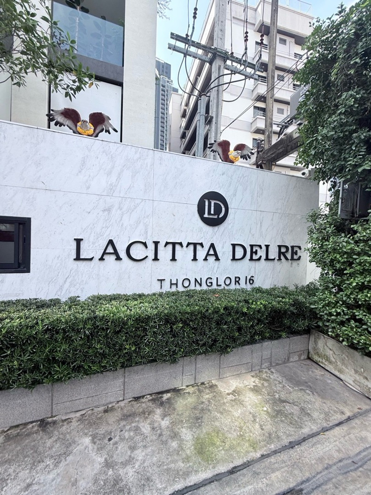ขายคอนโดสุขุมวิท อโศก ทองหล่อ : 🔥 EXCLUSIVE LISTING | LACITTA DELRE THONGLOR 16