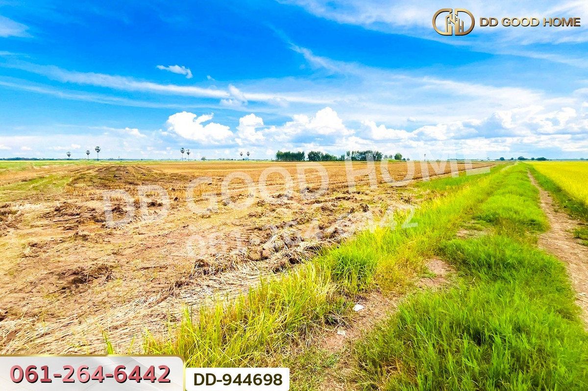 For SaleLandNakhon Sawan : DD-944698 Land at Kechai, 5 rai 20 sq.w., Chumsaeng, Nakhon Sawan, near the Chumsaeng District Office