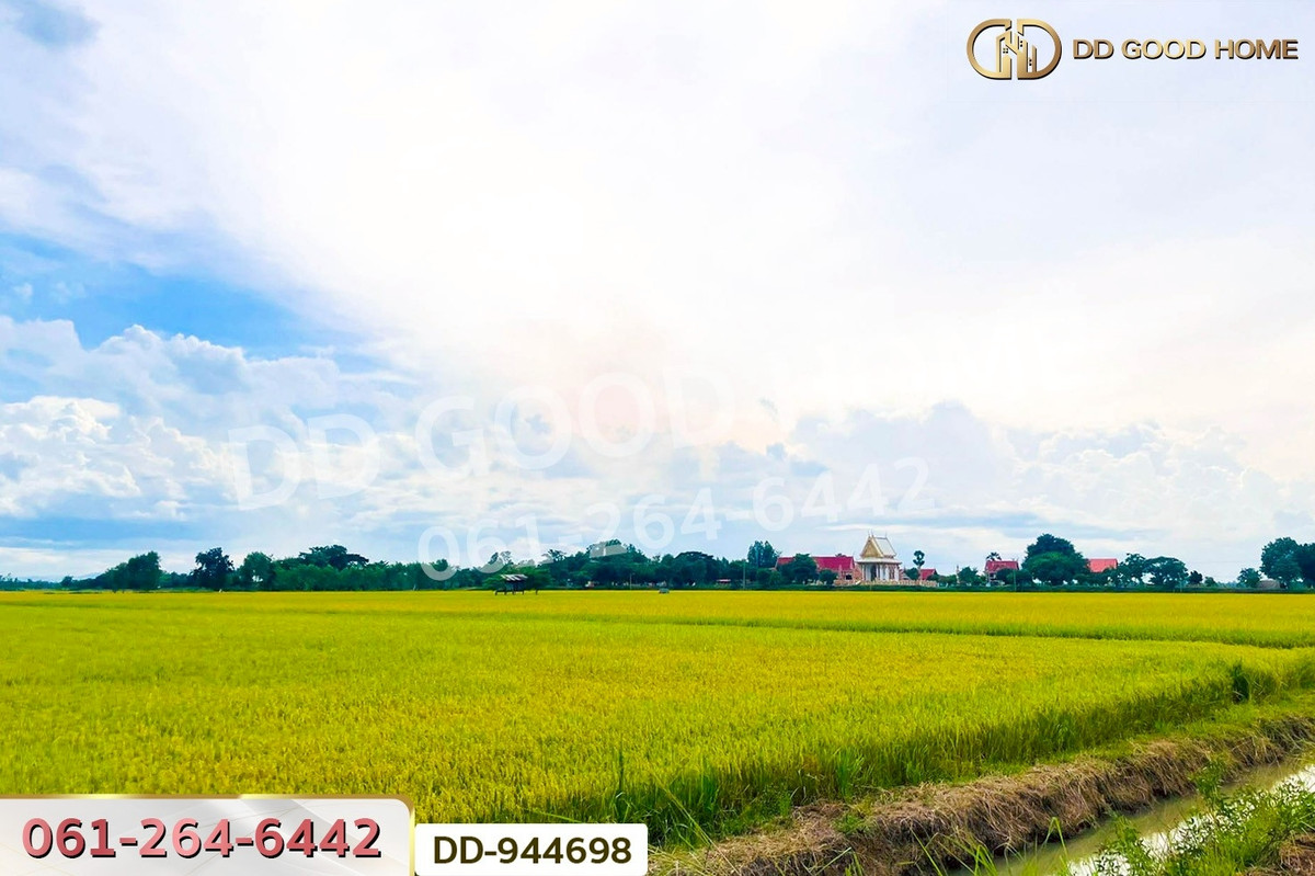 For SaleLandNakhon Sawan : DD-944698 Land at Kechai, 5 rai 20 sq.w., Chumsaeng, Nakhon Sawan, near the Chumsaeng District Office