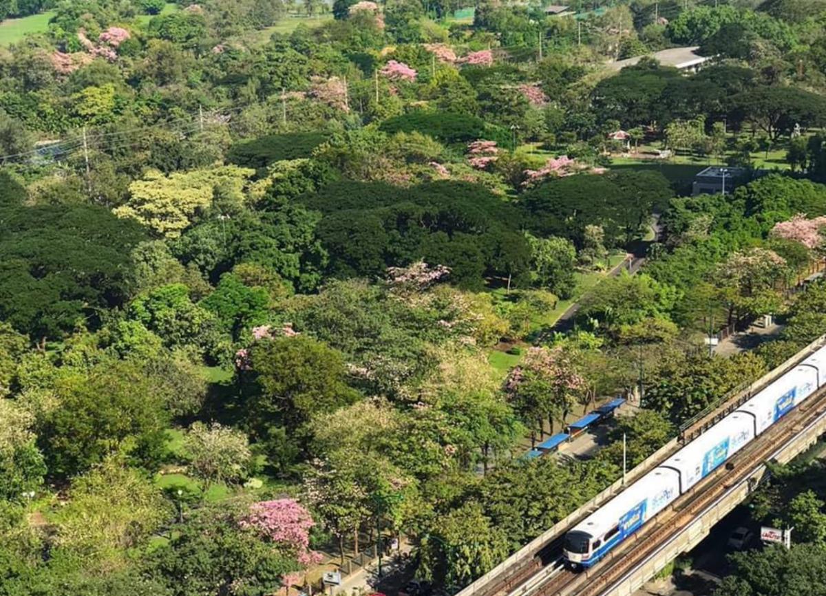 ให้เช่าคอนโดสะพานควาย จตุจักร : The Line Jatujak-Mochit /  / 2 ห้องนอน 60 ตร.ม. โทร 0937890899