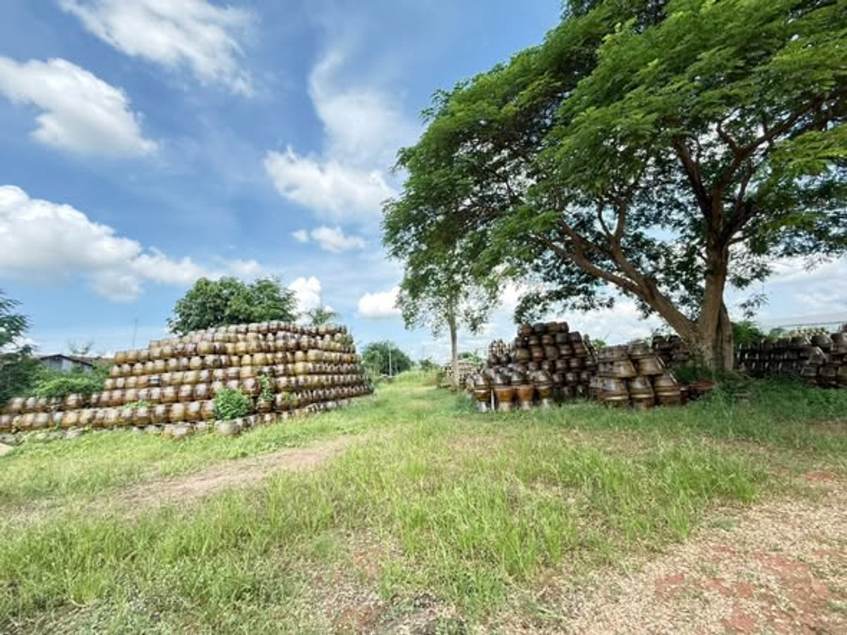 ขายที่ดินราชบุรี : ที่ดินกลางเมืองราชบุรี — ทำเลอนาคต ราคาดี พร้อมพัฒนา 2 แปลงติดกัน (ขนาด 3 ไร่ , 3 ไร่ 333 ตร.ว.)